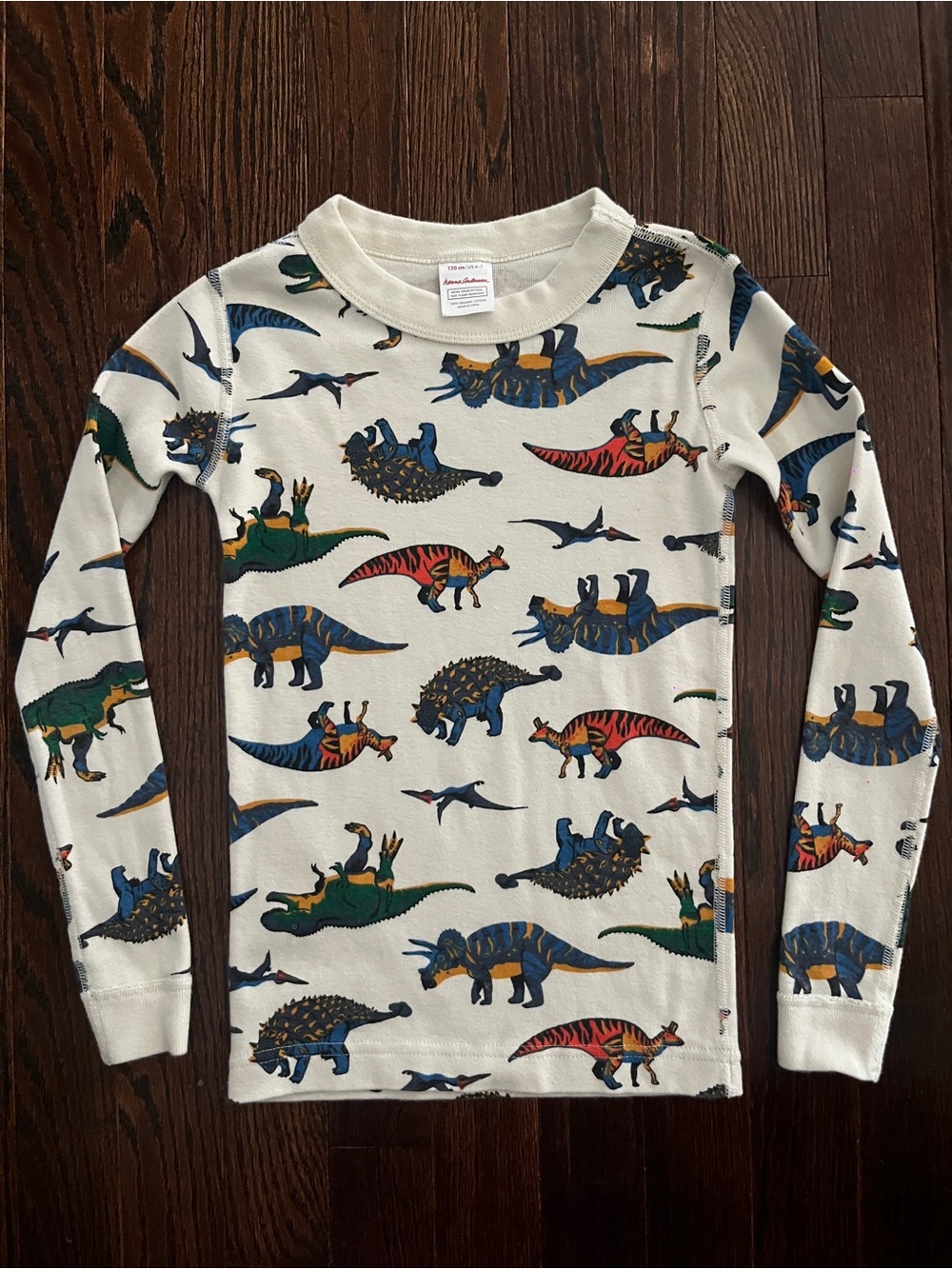 Hanna Andersson Cream Long-Sleeve Dinosaur Print Tee